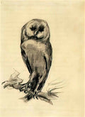 van gogh barn owl viewed from the front 1887 Art A4 Photo Print