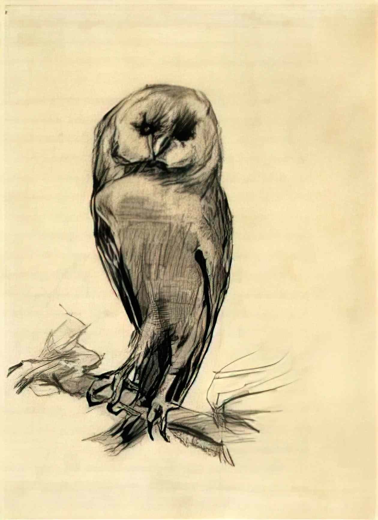 van gogh barn owl viewed from the front 1887 Art A4 Photo Print