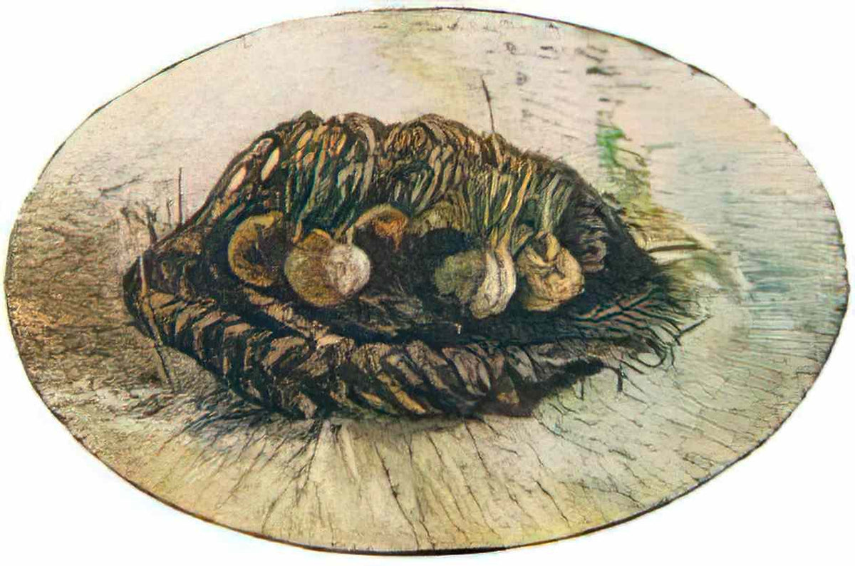van gogh basket of sprouting bulbs 1887 Art A4 Photo Print