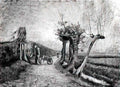van gogh behind the hedges 1884 Art A4 Photo Print