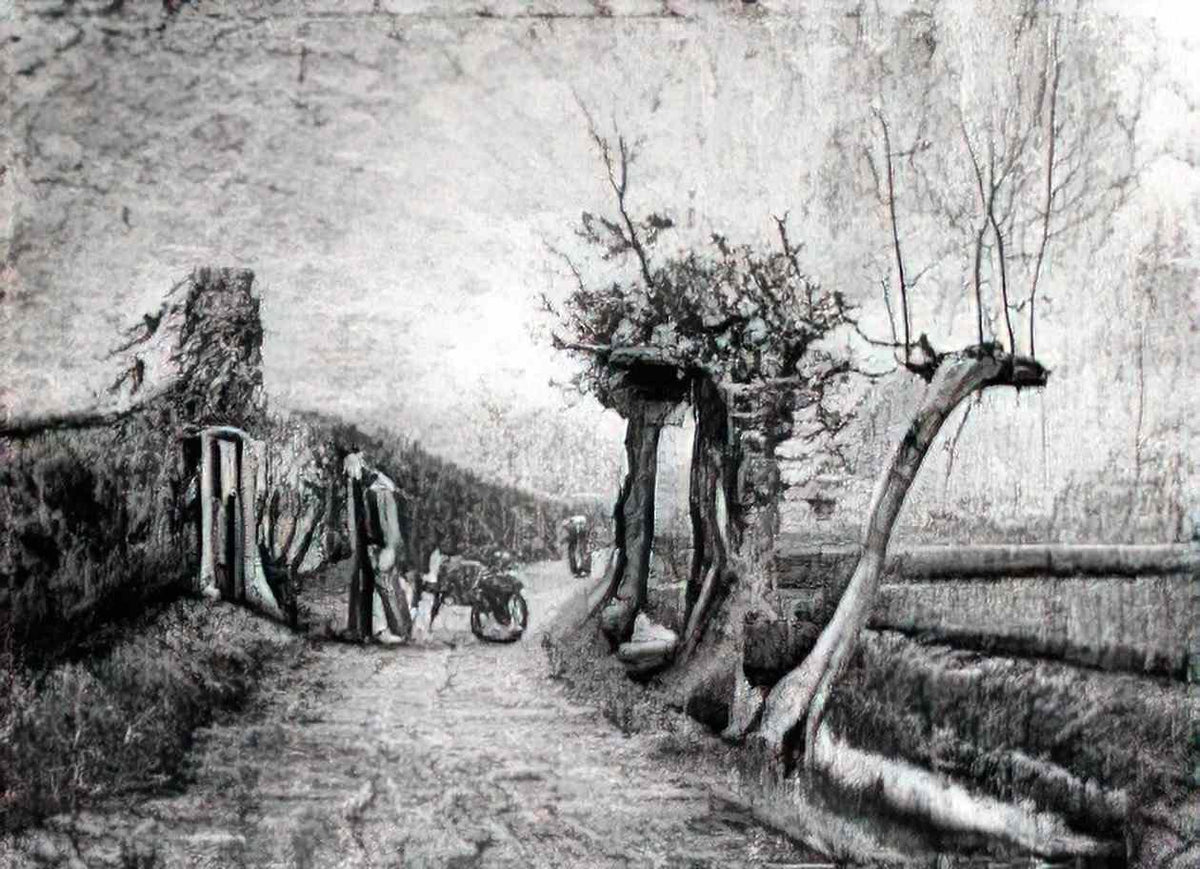 van gogh behind the hedges 1884 Art A4 Photo Print