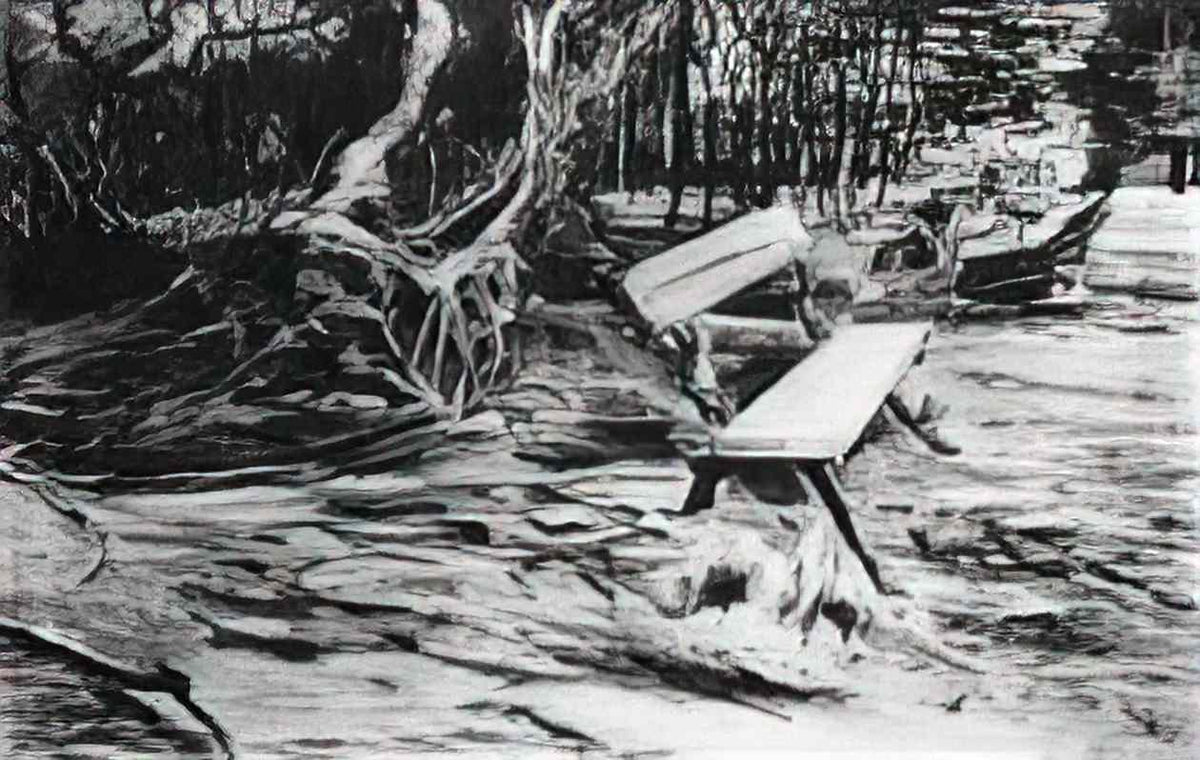 van gogh bench in a wood 1882 Art A4 Photo Print
