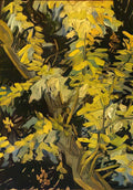 van gogh blossoming acacia branches 1890 Art A4 Photo Print