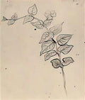 van gogh branch with leaves Art A4 Photo Print