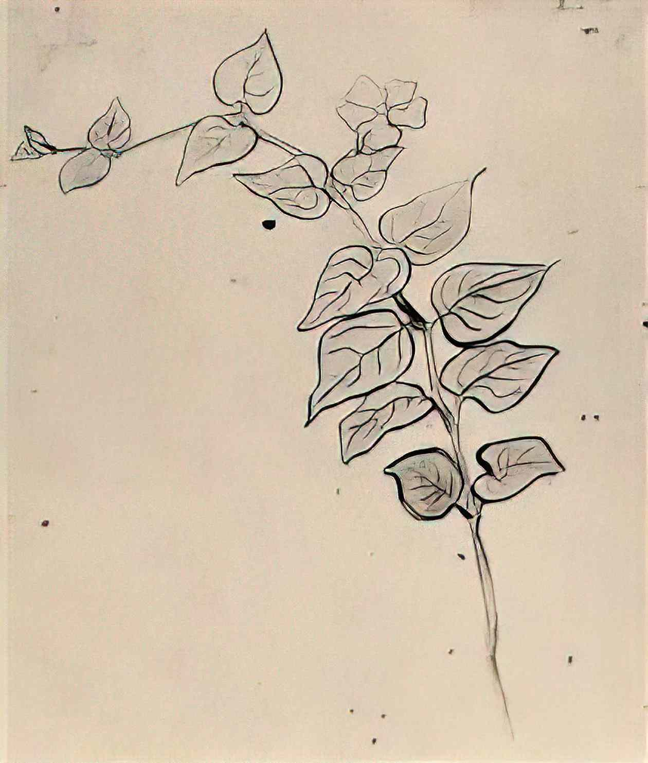 van gogh branch with leaves Art A4 Photo Print