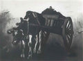 van gogh cart with black ox 1884 Art A4 Photo Print