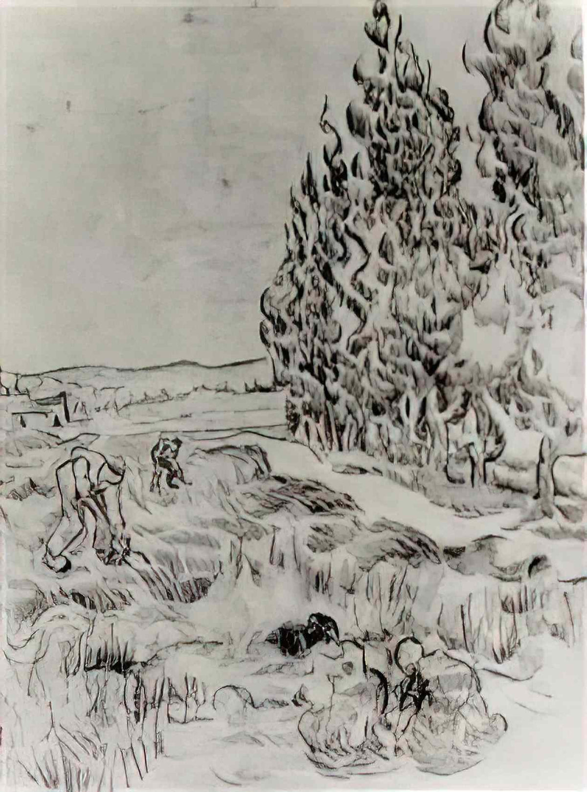 van gogh cypresses with four people working in the field 1890 Art A4 Photo Print