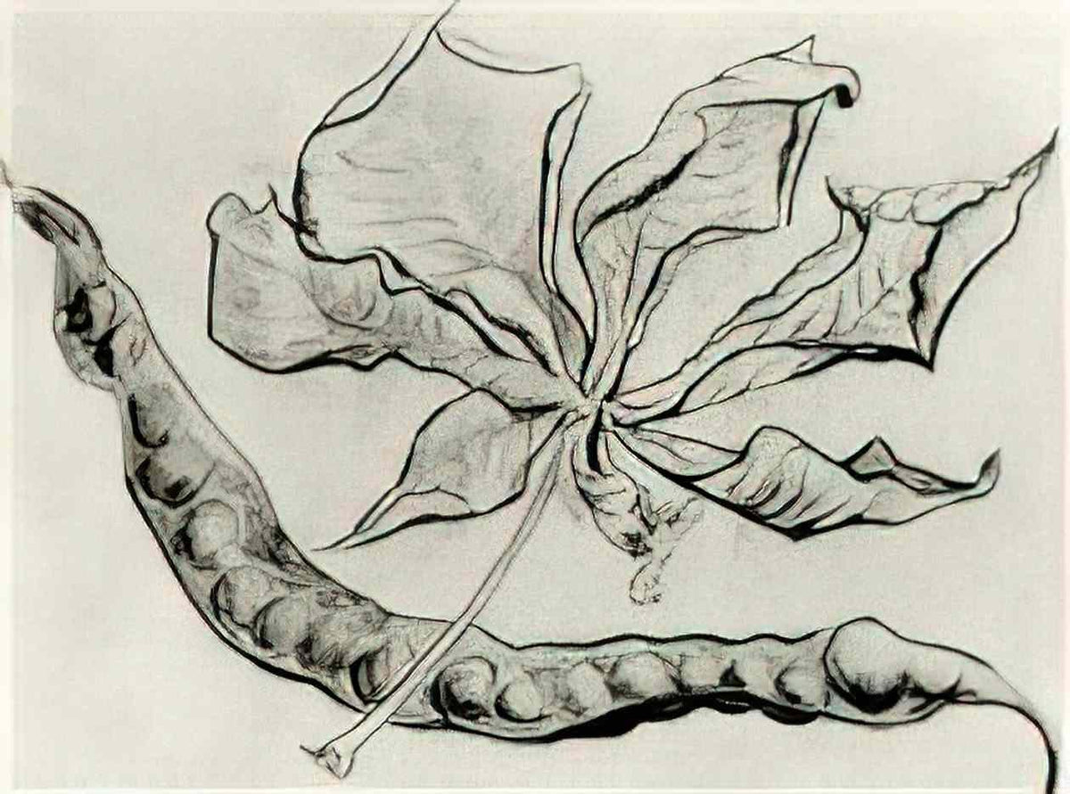 van gogh dead leaf and pod 1890 Art A4 Photo Print