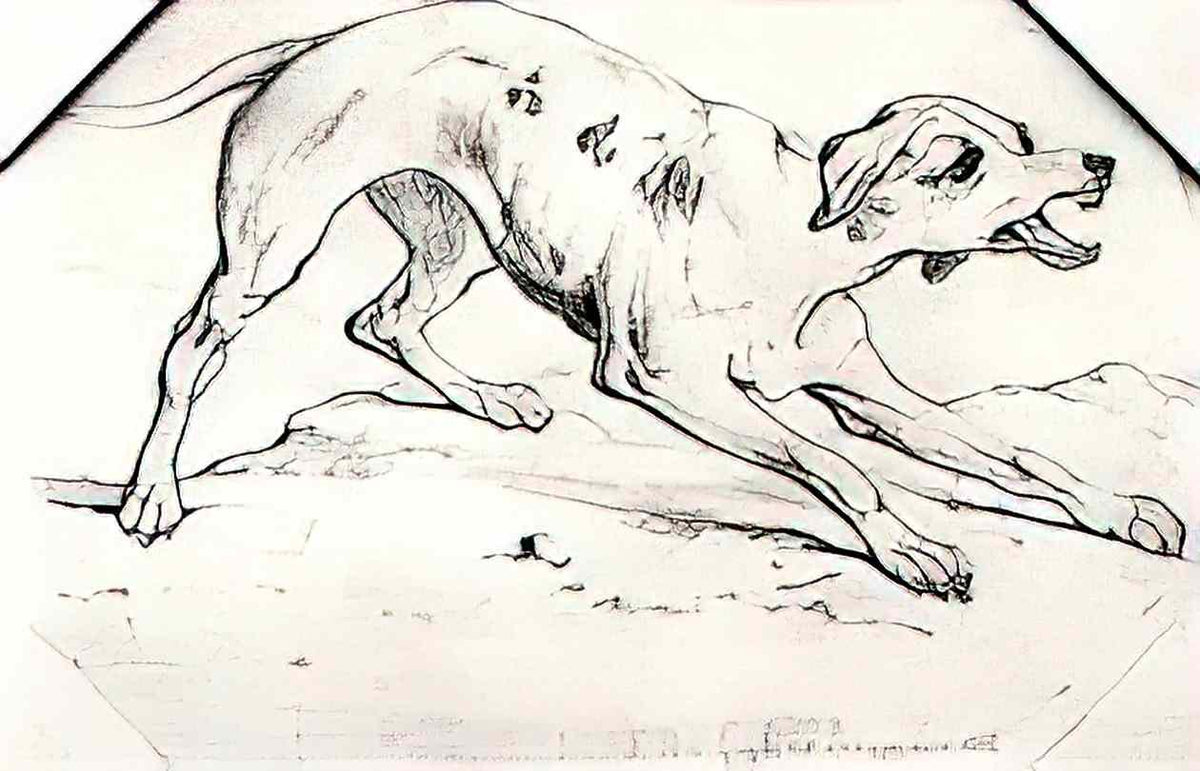 van gogh dog Art A4 Photo Print