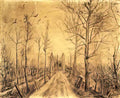 van gogh driveway Art A4 Photo Print
