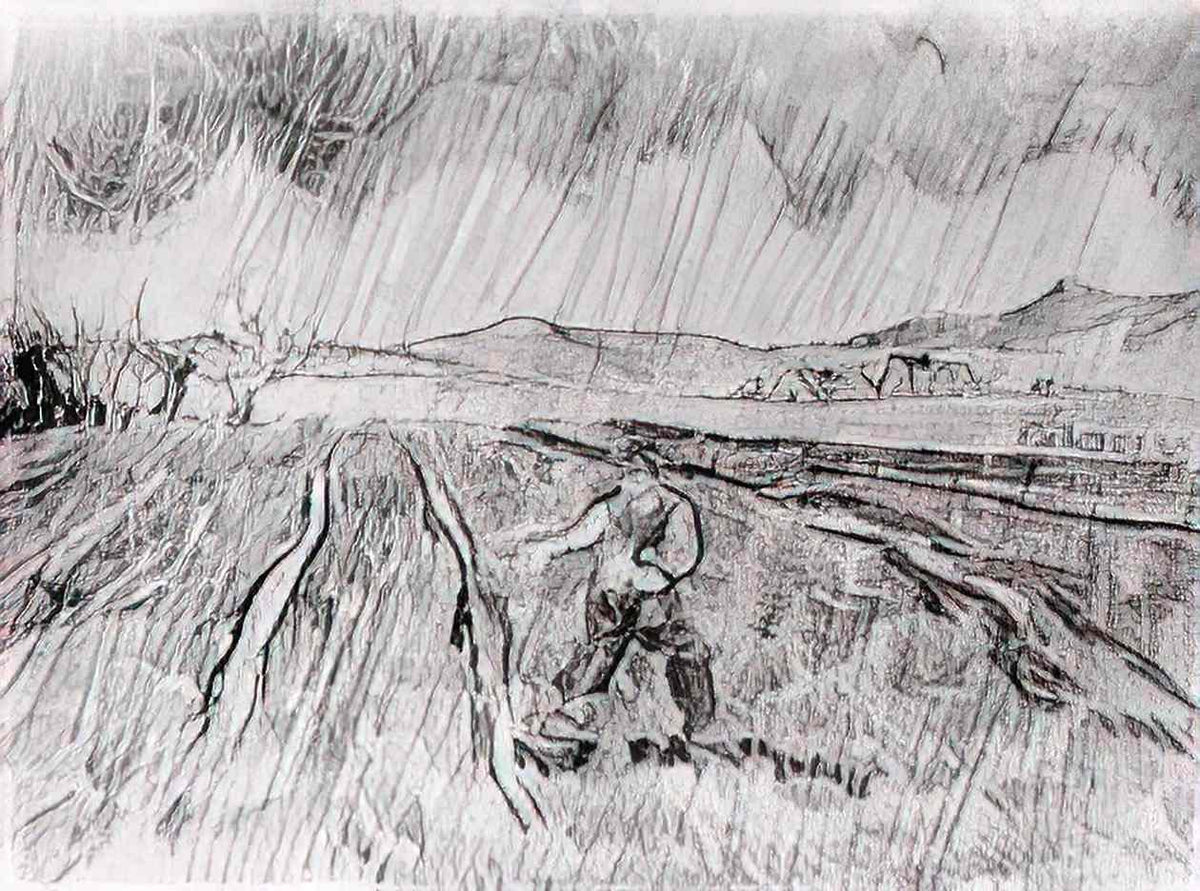 van gogh enclosed field with a sower in the rain 1889 1 Art A4 Photo Print