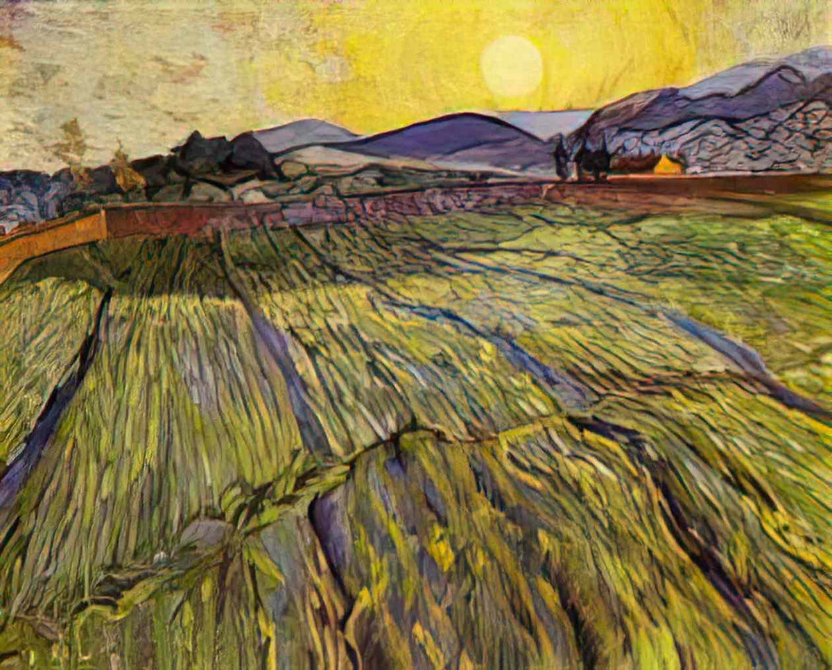 van gogh enclosed field with rising sun 1889 Art A4 Photo Print