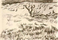 van gogh field with bare tree Art A4 Photo Print