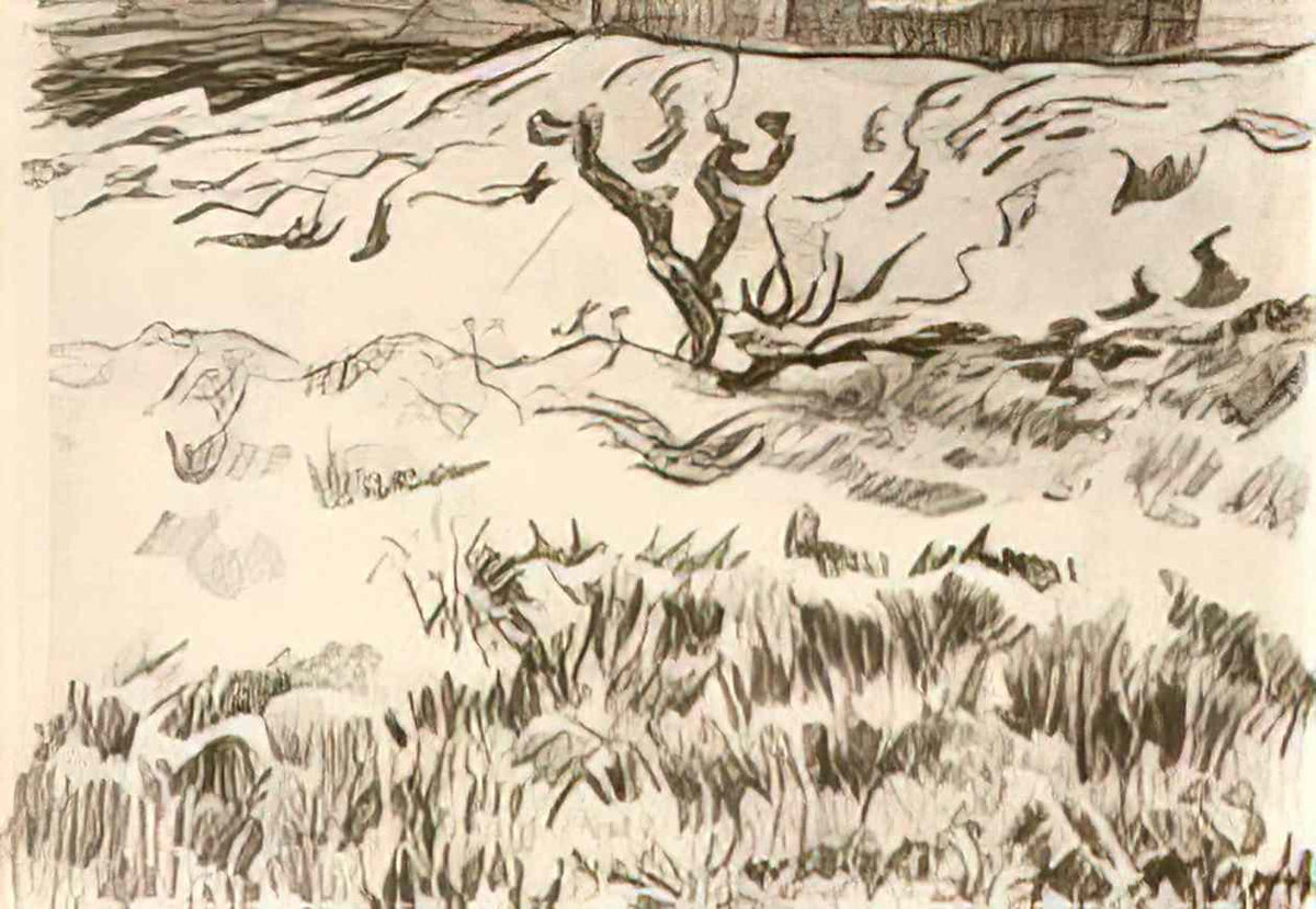 van gogh field with bare tree Art A4 Photo Print