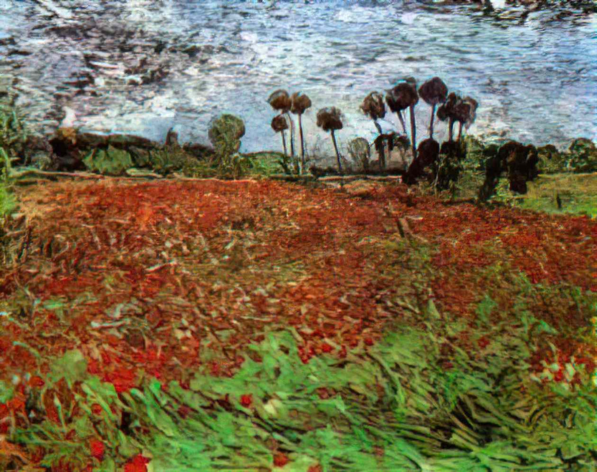 van gogh field with poppies 1890 Art A4 Photo Print
