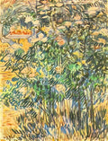 van gogh flowering shrubs 1889 Art A4 Photo Print