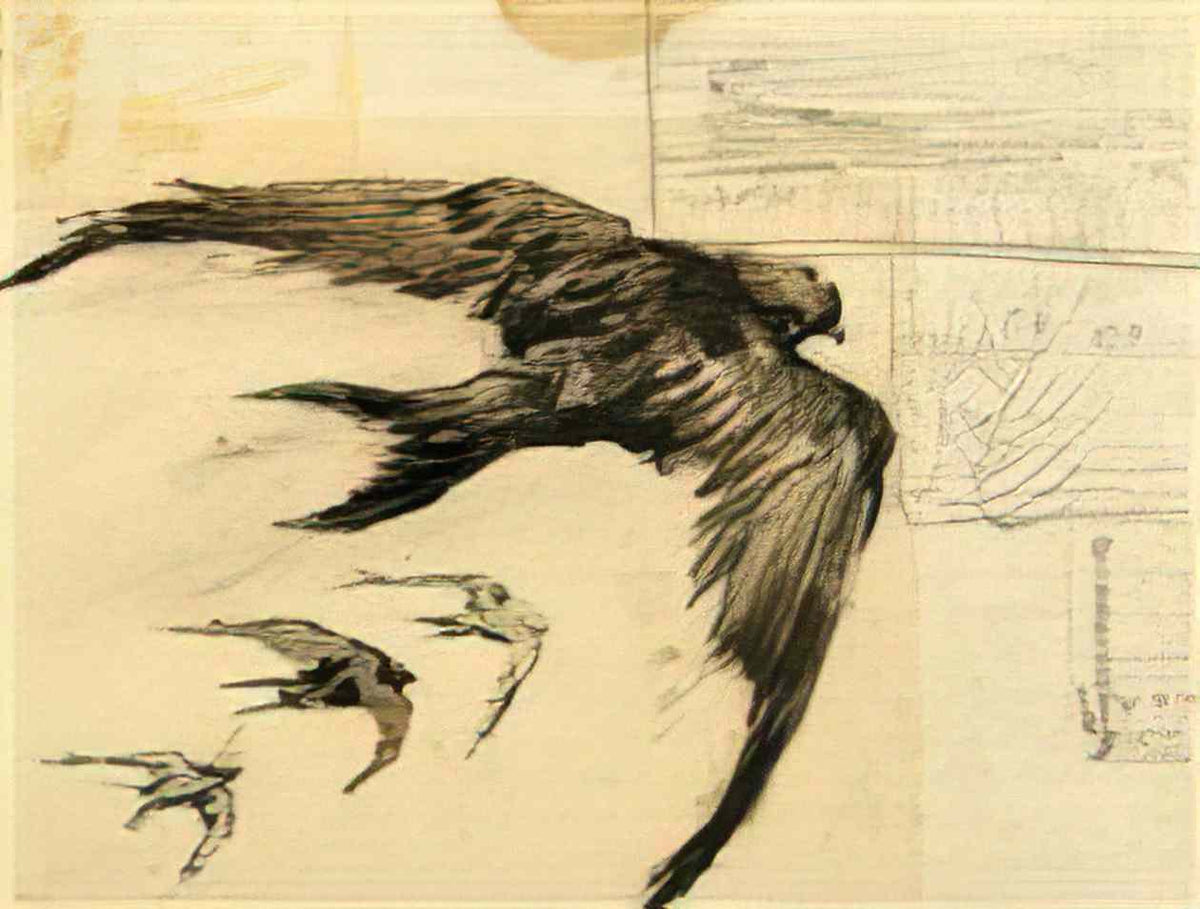 van gogh four swifts with landscape sketches 1887 Art A4 Photo Print