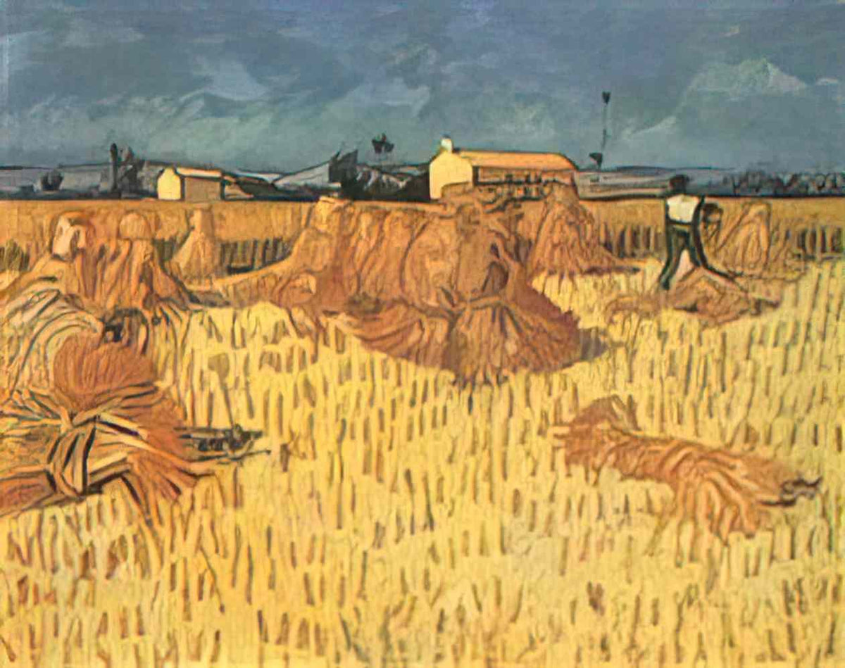 van gogh harvest in provence 1888 Art A4 Photo Print