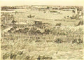 van gogh harvest landscape 1888 1 Art A4 Photo Print