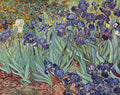 van gogh irises Art A4 Photo Print