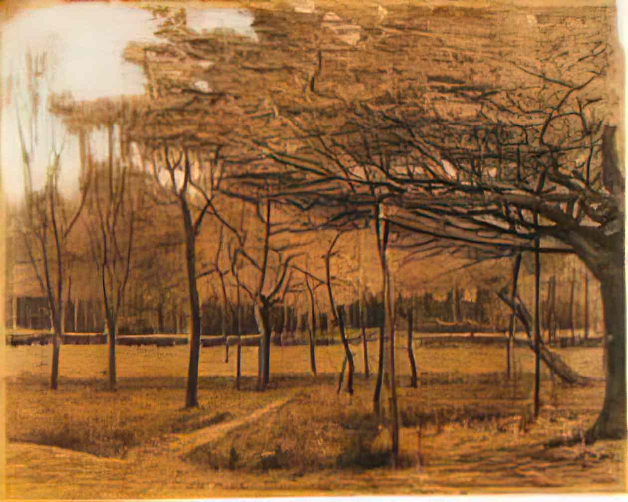 van gogh landscape with trees 1881 Art A4 Photo Print