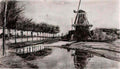 van gogh landscape with windmill 1881 Art A4 Photo Print
