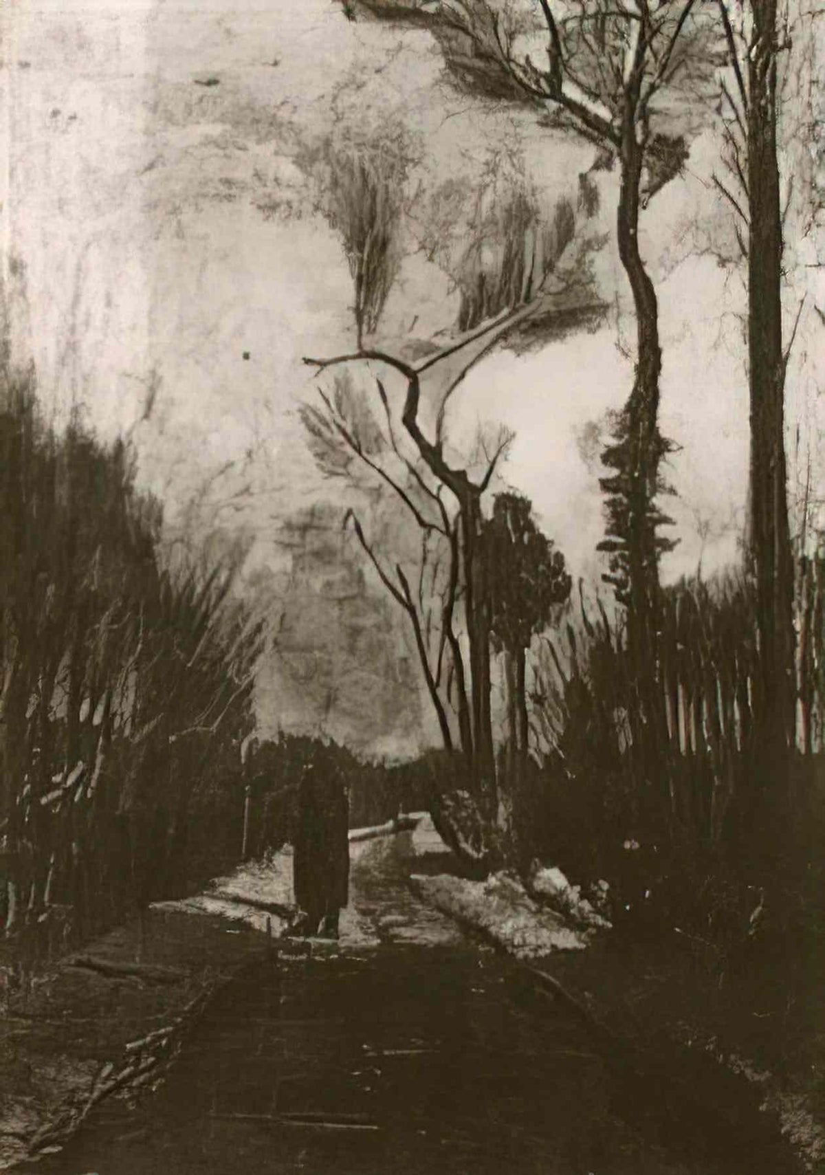 van gogh lane in autumn 1884 Art A4 Photo Print