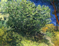 van gogh lilac bush 1889 Art A4 Photo Print