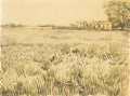van gogh meadow with flowers 1888 Art A4 Photo Print