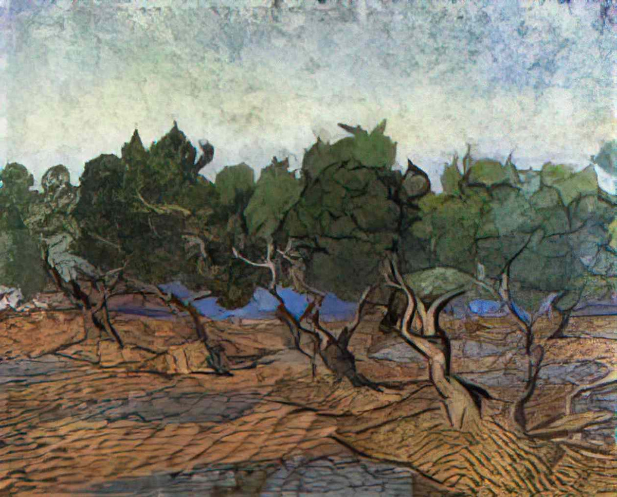 van gogh olive grove 1889 1 Art A4 Photo Print