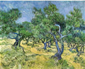 van gogh olive grove 1889 Art A4 Photo Print
