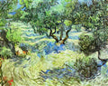 van gogh olive grove bright blue sky 1889 Art A4 Photo Print