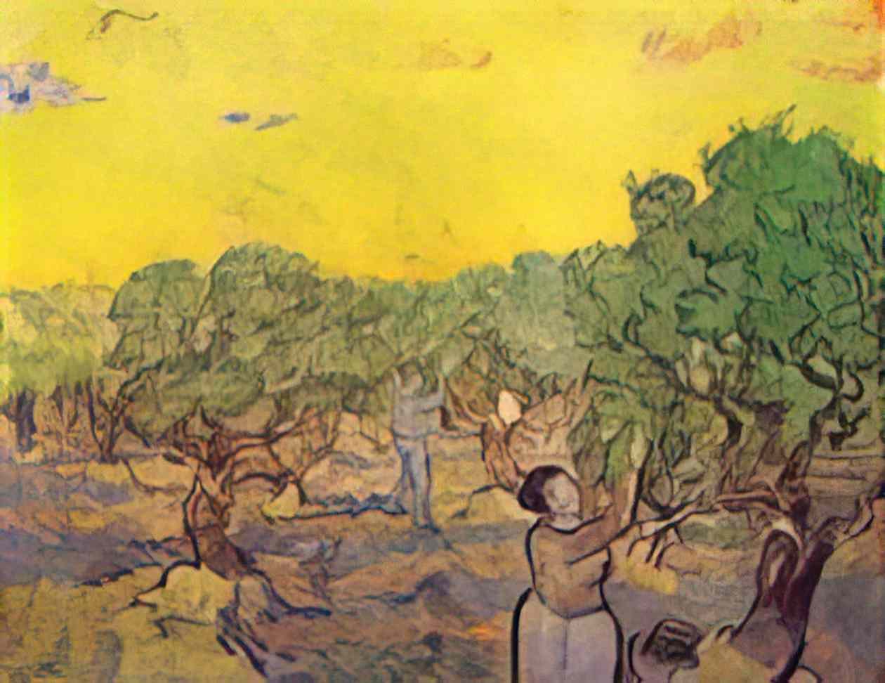 van gogh olive grove with picking figures 1889 Art A4 Photo Print