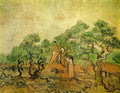van gogh olive picking 1889 2 Art A4 Photo Print