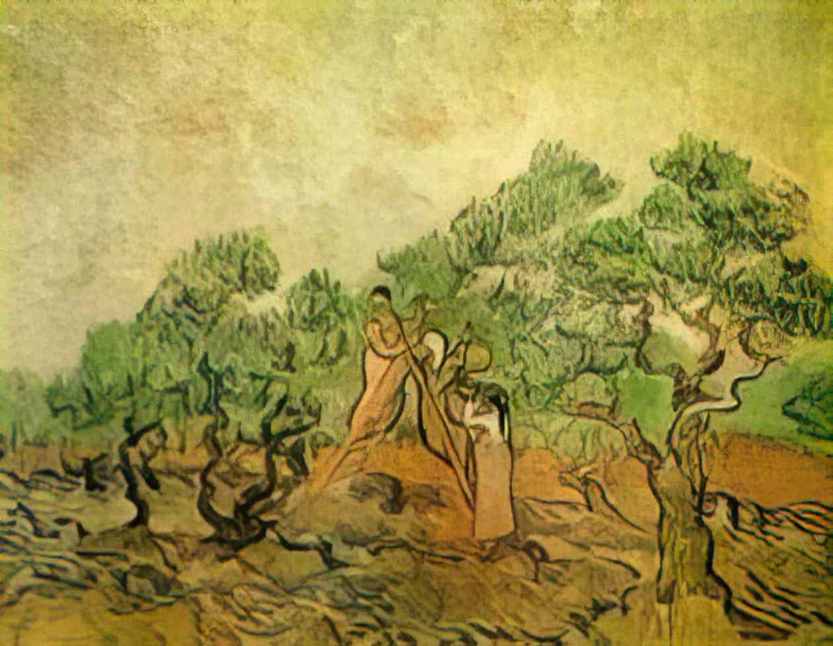 van gogh olive picking 1889 2 Art A4 Photo Print
