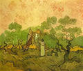 van gogh olive picking 1889 Art A4 Photo Print