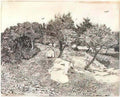 van gogh olive trees 1888 Art A4 Photo Print