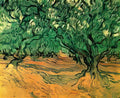 van gogh olive trees 1889 Art A4 Photo Print