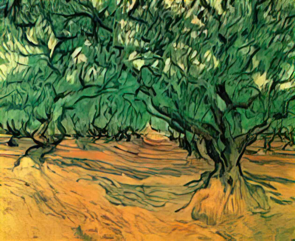 van gogh olive trees 1889 Art A4 Photo Print