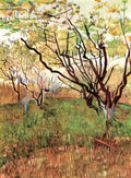 van gogh orchard in blossom 1888 Art A4 Photo Print