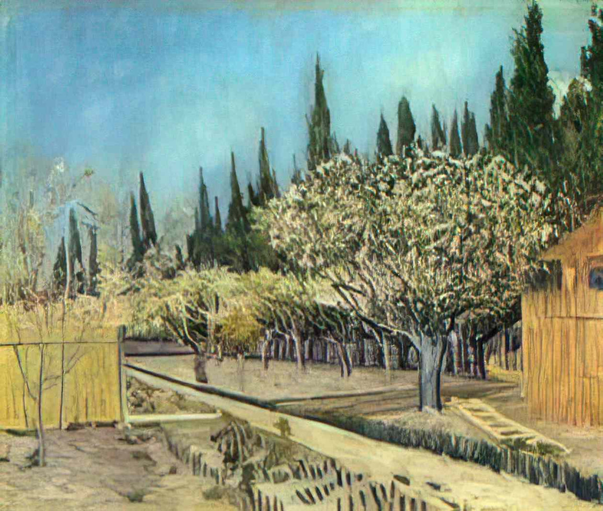 van gogh orchard in blossom bordered by cypresses 1888 1 Art A4 Photo Print