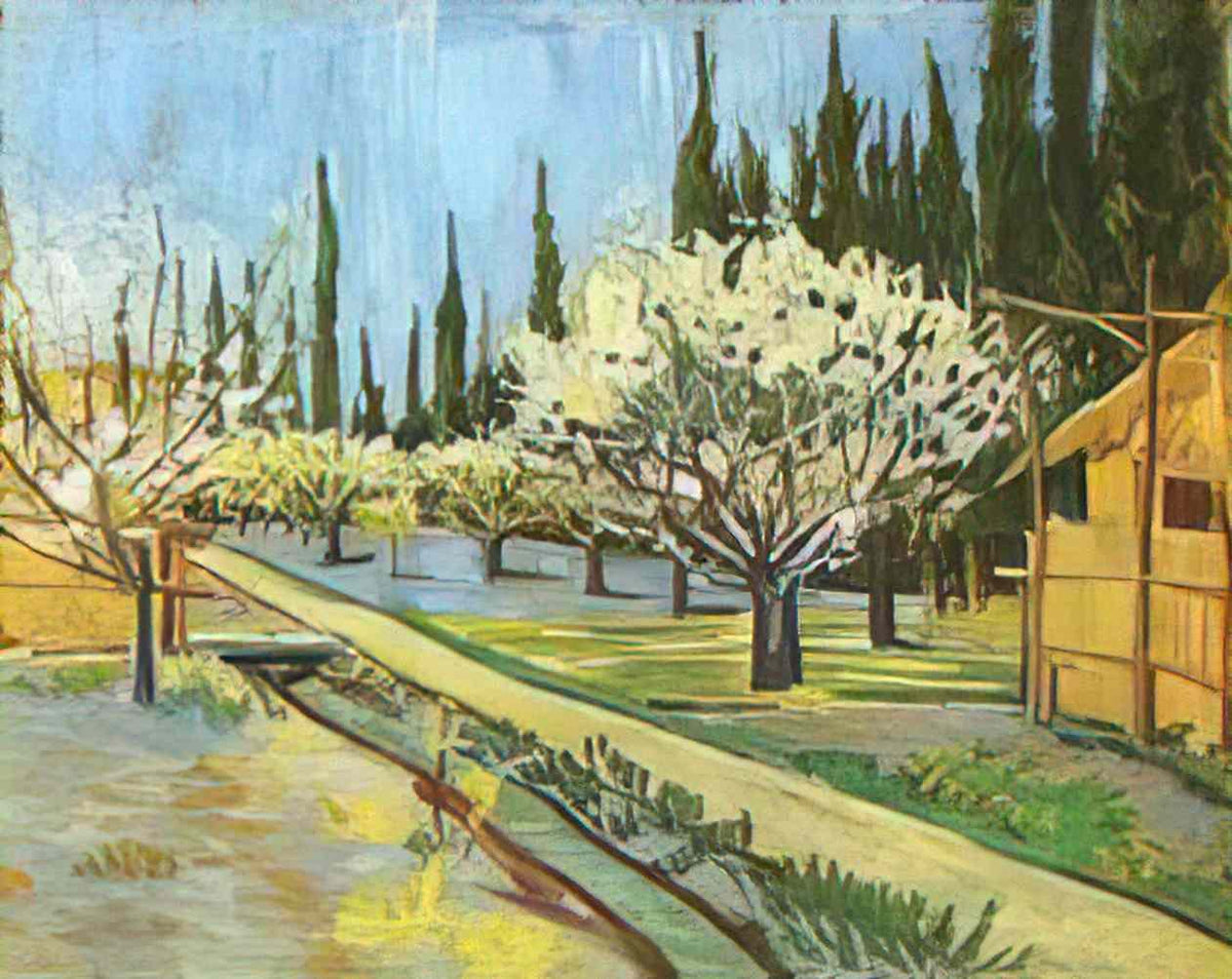 van gogh orchard in blossom bordered by cypresses 1888 Art A4 Photo Print