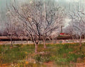 van gogh orchard in blossom plum trees 1888 Art A4 Photo Print