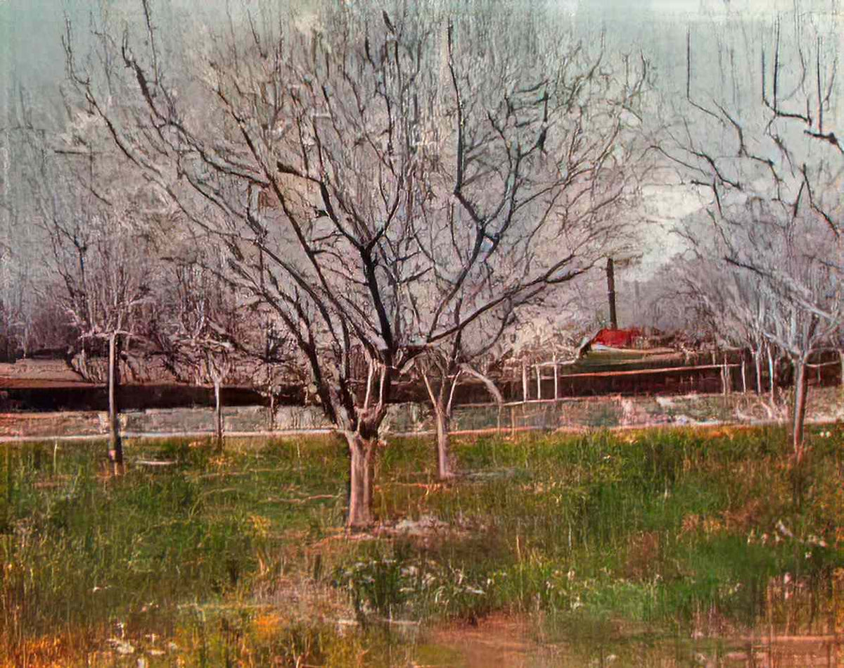 van gogh orchard in blossom plum trees 1888 Art A4 Photo Print