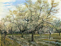 van gogh orchard with blossoming plum trees 1888 Art A4 Photo Print