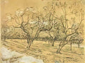 van gogh orchard with blossoming plum trees the white orchard 1888 Art A4 Photo Print