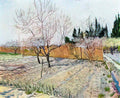 van gogh orchard with peach trees in blossom 1888 Art A4 Photo Print