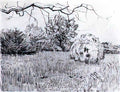 van gogh park at arles 1889 Art A4 Photo Print