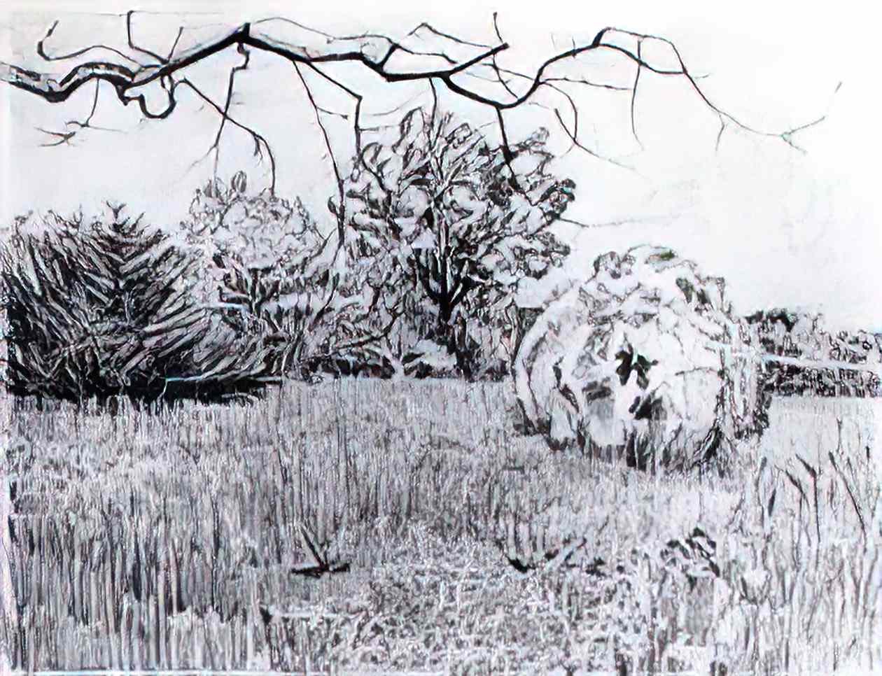 van gogh park at arles 1889 Art A4 Photo Print
