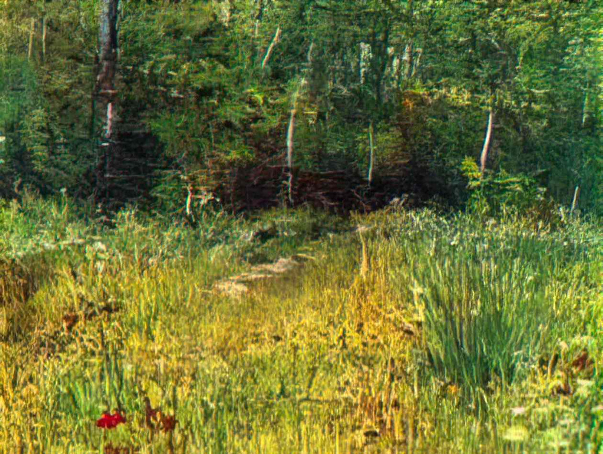 van gogh park at asnieres in spring 1887 Art A4 Photo Print